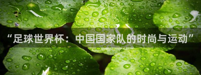 2006世界杯:“足球世界杯:中国国家队的时尚与运动”