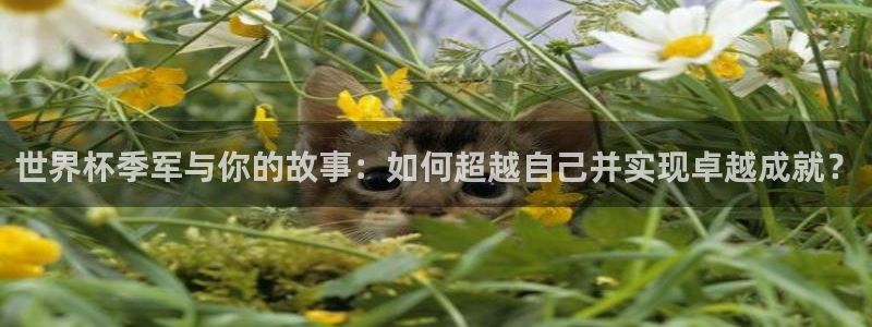 英足总杯直播:世界杯季军与你的故事:如何超越自己并实现卓越成就?
