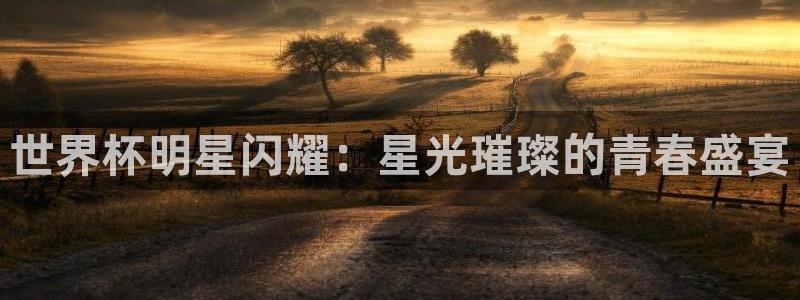 世界杯附加赛赛程表:世界杯明星闪耀:星光璀璨的青春盛宴