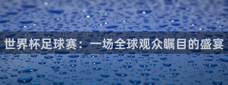 26世界杯:世界杯足球赛:一场全球观众瞩目的盛宴