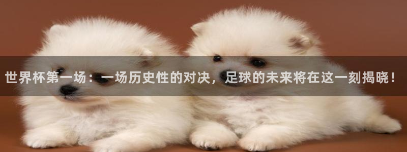 足球世界杯预选赛:世界杯第一场:一场历史性的对决,足球的未来将在这一刻揭晓!
