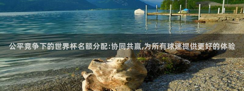 联赛杯直播:公平竞争下的世界杯名额分配:协同共赢,为所有球迷提供更好的体验