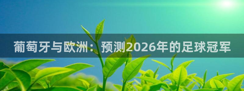 2026世预赛赛程:葡萄牙与欧洲:预测2026年的足球冠军