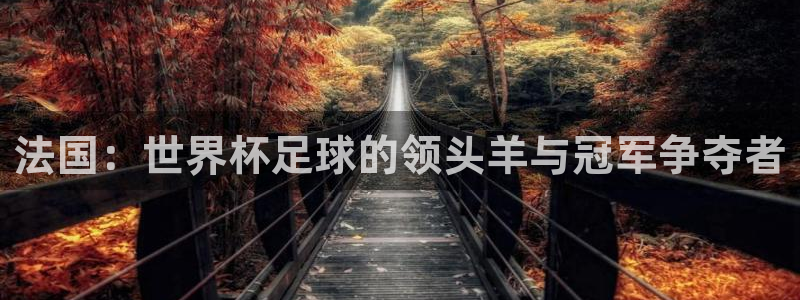 2026世界杯德国队阵容:法国:世界杯足球的领头羊与冠军争夺者