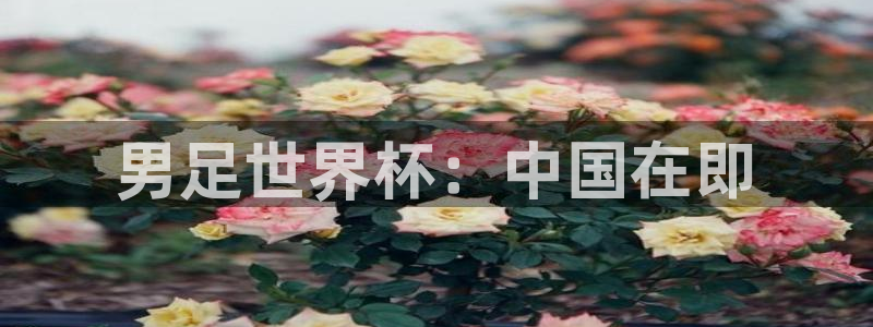世界直播:男足世界杯:中国在即